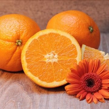 4 thực phẩm ăn thường xuyên để không bị mụn trứng cá