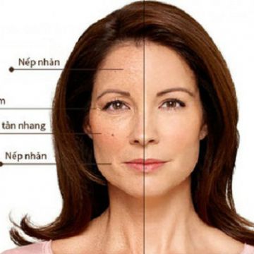 9 thực phẩm giúp ngừa lão hóa da sớm cực hiệu quả