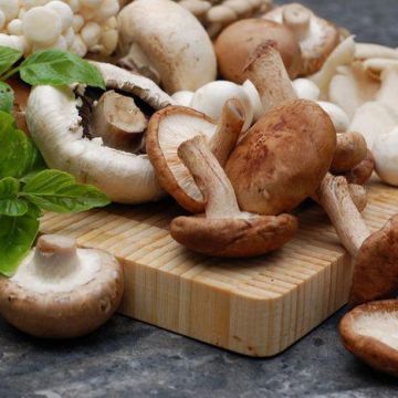 Ăn nấm thường xuyên tốt cho da