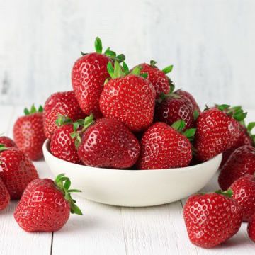 Lý do phái đẹp phải ăn dâu tây thường xuyên