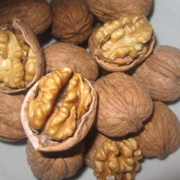Thưc phẩm giúp da căng mọng, đẹp không tỳ vết